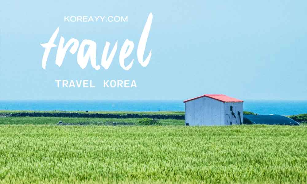 travelPostBanner